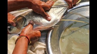 Fish Breeding System  Big Head Fish Eggs Hatchery [upl. by Holder]