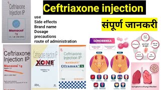 Ceftriaxone injection use in hindi  monocef 1g oframax 1g xone 1g use side effect precautions [upl. by Nuahsed932]