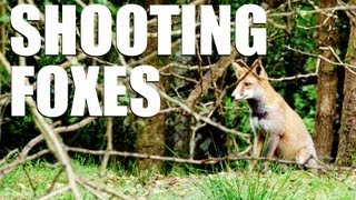 Fieldsports Britain  Shooting foxes [upl. by Mis]