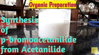 Synthesis of para bromoacetanilide from Acetanilide [upl. by Brit]