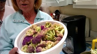 How to Preserve Fresh Cauliflower [upl. by Stubstad]