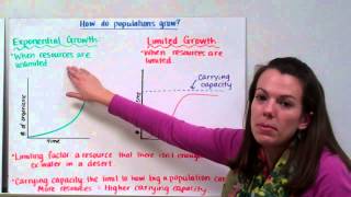 Population Ecology [upl. by Elysia]