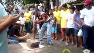 Even Highlights Pagbabayo ng Palay Pounding Grain  Pagbilao Quezon 8272013 [upl. by Anirec420]