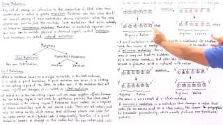 Point Mutations BasePair Substitutions [upl. by Meares]