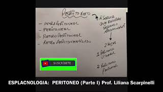 PERITONEO accidentes y formaciones peritoneales [upl. by Dami]