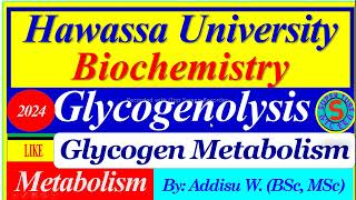 Glycogenolysis Glycogen Breakdown  Metabolism metabolism biochemistry glycogenesis glycolysis [upl. by Hussey990]