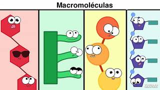 Macromoléculas [upl. by Bussey684]