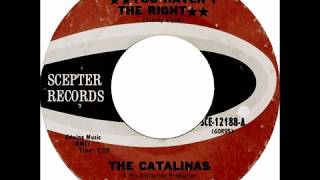 The Catalinas  quotYou Havent The Rightquot 1967 [upl. by Sices998]