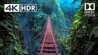 Unbelievable Places That Actually Exist 4K HDR 4K Video 4k 4khdr [upl. by Lleoj44]