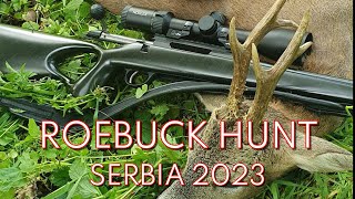 Roebuck hunt Tikka T3X 223 Rem Lov srndača Rehbock Jagd Caccia al Capriolo Srbija 2023 [upl. by Pelson190]