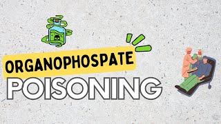 Organophosphate poisoning signs Pathophysiology diagnosis and Treatment [upl. by Okihcas]