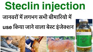 Steclin injection uses in hindioxytetracycline hcl injection uses in hindioxy veterinary injection [upl. by Gram]