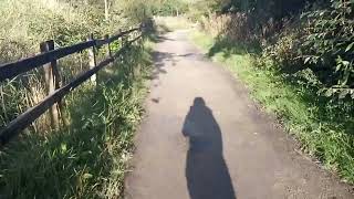 Scenic beautiful nature walk Pennington flash country Park ❤️ Britain [upl. by Osmo602]