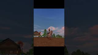 Eure Ängste❤️Pferdekauf❤️ sso horse starstable starstableonline edit goviral [upl. by Ihp]