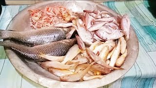 পাঁচ মিশালি মাছ।।pach misali match।।desi macher video।।Small fish video।।Cookingamprecipes [upl. by Liamaj281]