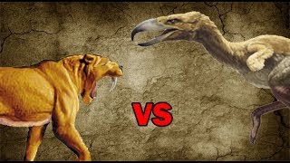 SaberToothed Tiger vs Terror Bird  SPORE [upl. by Assenahs]