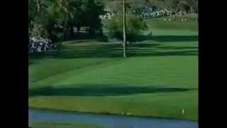 2002 Bay Hill Invitational golf 6minute summary [upl. by Ahcrop]