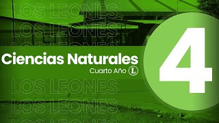 Ciencias Naturales 14  Adaptaciones de las plantas [upl. by Sucramel]