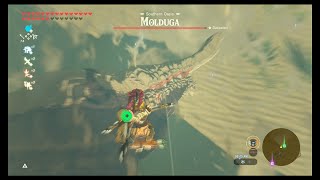 Molduga Locations Including Molduking  BOTW  Picture Frames Games [upl. by Laamaj]