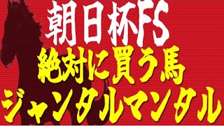 【朝日杯FS】quot世代最上位の完成度quot 穴馬もポテンシャル抜群『絶対に買うのはこの馬』 [upl. by Queen334]