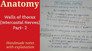 Walls of thorax  Intercostal Nerves  Part 2 Anatomy By Namita Ussara [upl. by Erreid114]