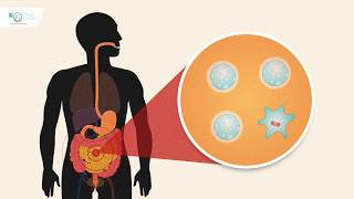 Enfermedad Inflamatoria Intestinal  Conociendo el tratamiento  Respuesta inmune [upl. by Sibley]