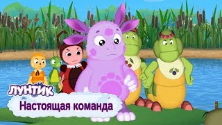 Настоящая команда 💥 Лунтик 💥 Сборник мультфильмов для детей [upl. by Erodeht]