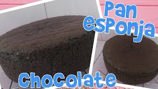 PAN ESPONJA DE CHOCOLATE Y VAINILLA IDEAL PARA TRES LECHES Y FONDANT  tresleches fondant [upl. by Bourque524]