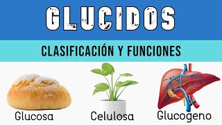 ¿QUE SON LOS GLUCIDOS🥐🥯TIPOS y CLASIFICACIÓN  Biología  Cotamanía [upl. by Zetnas]