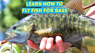 Getting Started in Bass Fly Fishing [upl. by Meadow334]