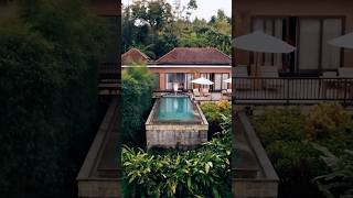 Munduk Bali bali travelguide shortsvideo shorts youtubeshorts [upl. by Tica]