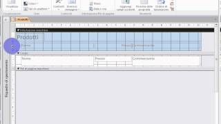 11Access da zeroFormattare campi ed etichette nella maschera [upl. by Banwell]