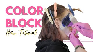 Color Blocking Hair Tutorial  MAJOR HAIR COLOR TRANSFORMATION haircolor [upl. by Pheni]