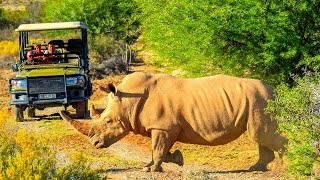 Südafrika »Vom Kap bis zum Krüger« [upl. by Garaway]