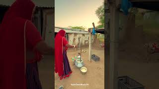 गाँव की सुबह का नजारा 😍 gaon morning youtubeshorts sukoon rajasthan food vlog shorts desi [upl. by Tiduj]