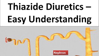 Thiazide Diuretics  How it works  Mechanism of action with Animations [upl. by Attenwahs]