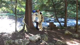 Fursuiting near Grottes de Vallorbe [upl. by Saree]