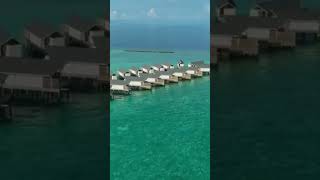 Unforgettable Seaside Frolic Ladies and Litt  Atmosphere Hotels amp Resorts Maldives [upl. by Joscelin]