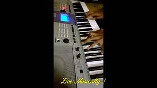 Kannal Pesum penne  Piano Cover  Thivin [upl. by Stalk]