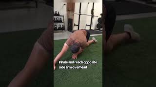 This Will Unlock Your Hips Like Crazy hipmobility stretching hippain mobility stretch gym [upl. by Marilee753]