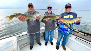 RAPTR Adventures Episode 33  Chain Pickerel Walleye amp Northern Pike in Chaumont Bay NY [upl. by Aneelas]