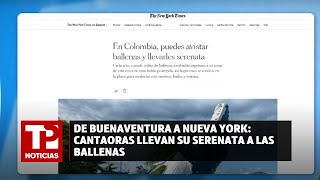 De Buenaventura a Nueva York Cantaoras llevan su serenata a las ballenas [upl. by Nnylrefinnej]