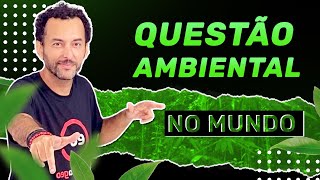 Política Ambiental Brasileira  Questão Ambiental no Brasil  Geografia [upl. by Pulcheria739]