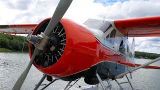 Pilots Dream DHC2 Beaver Left Seat Checkout  Why I went to Alaska [upl. by Adlin]