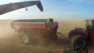 Huge farm in Alberta canada over 65 000 acres BampD WALTER FARMS Walters harvesting [upl. by Alisia872]