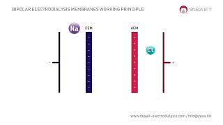 Bipolar Electrodialysis Membranes Working Principle in 1 min  DESALT by YASA ET [upl. by Resiak]