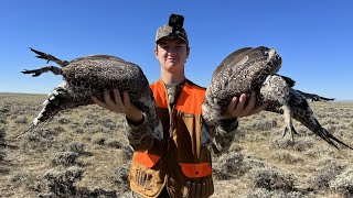 Hunting the Largest Grouse in America Limited Out [upl. by Woodford]