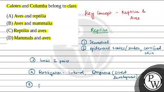 Calotes and Columba belong to class [upl. by Kirk39]