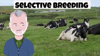 What is selective breeding [upl. by Vidda]