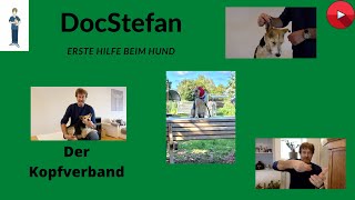 DocStefan Blog Video 12 Erste Hilfe beim Hund Der Kopfverband Eine interaktive Anleitung [upl. by Atiuqahs620]